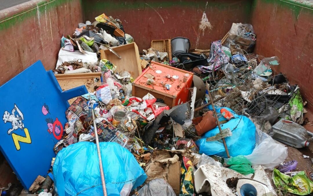 Wichtiger Beitrag für eine gesunde Umwelt – Müllsammelaktion